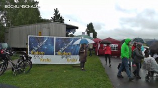 Benefiz-Ruder-Regatta "Rudern gegen Krebs" im schönen Ruhrtal