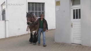 Das 626. Bochumer Maiabendfest und seine sieben Ehrendamen.