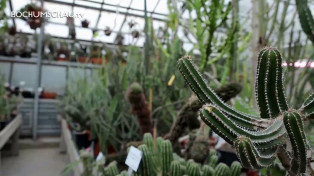 Der Botanische Garten der Ruhr-Universität Bochum