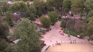 Tierpark Bochum: Renovierung und Eröffnung der Neuanlagen.