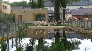 Tierpark Bochum: Renovierung und Eröffnung der Neuanlagen.