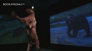 Körperwelten der Tiere - Dr. Gunter von Hagens Ausstellung in Bochum