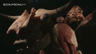 Körperwelten der Tiere - Dr. Gunter von Hagens Ausstellung in Bochum