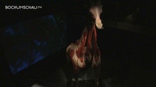 Körperwelten der Tiere - Dr. Gunter von Hagens Ausstellung in Bochum