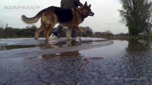 Hochwasser Ruhr