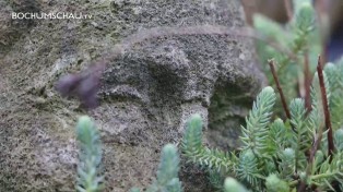 Der Kopf des Soldaten vom Kriegerdenkmal in Bochum-Langendreer