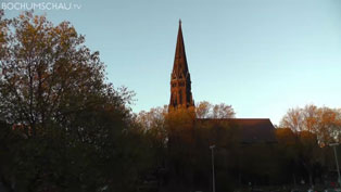 Platanenfällung an der Marienkirche Bochum