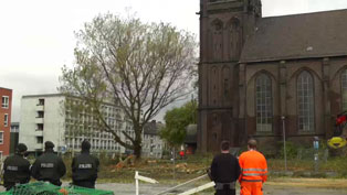 Platanenfällung an der Marienkirche Bochum