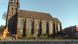 Platanenfällung an der Marienkirche Bochum