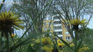 Quartiersentwicklung Flüssesiedlung Bochum Grumme VBW Bochum