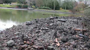 Fundstücke im Bochumer Stadtparkteich im Zuge der Sanierung