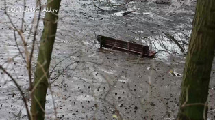 Fundstücke im Bochumer Stadtparkteich im Zuge der Sanierung