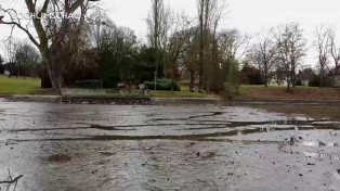 Fundstücke im Bochumer Stadtparkteich im Zuge der Sanierung