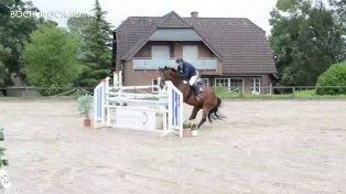 Dressur- und Springturnier Gut Havkenscheid 2015