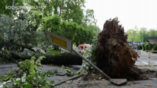 Sturm in Bochum verwüstet ganze Straßenzüge.