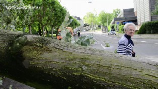 Sturm in Bochum verwüstet ganze Straßenzüge.