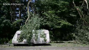 Sturm in Bochum verwüstet ganze Straßenzüge.