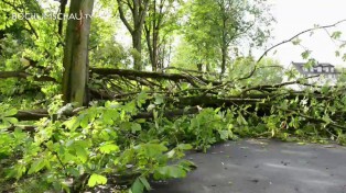 Sturm in Bochum verwüstet ganze Straßenzüge.