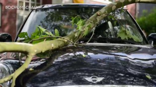 Sturm in Bochum verwüstet ganze Straßenzüge.