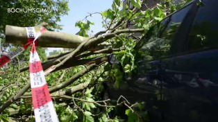 Sturm in Bochum verwüstet ganze Straßenzüge.