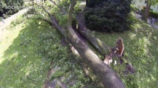 Sturm in Bochum verwüstet ganze Straßenzüge.