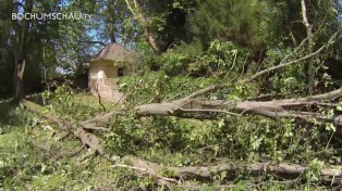 Sturm in Bochum verwüstet ganze Straßenzüge.