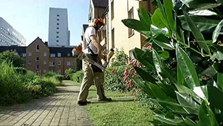 Wohnsiedlung "Am Schlegelturm" in der Bochumer Innenstadt